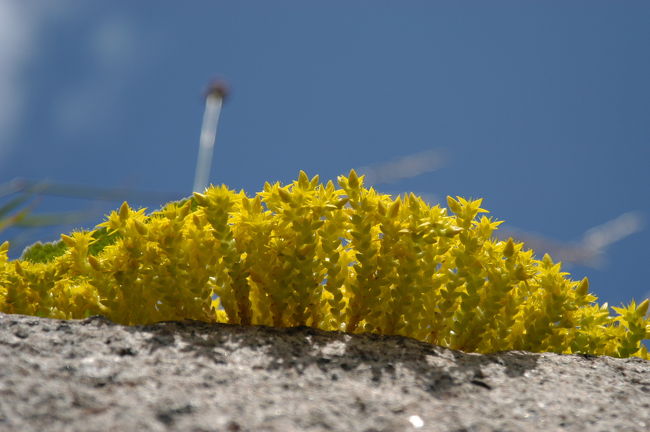 「クロンボー城」の城壁にて<br />