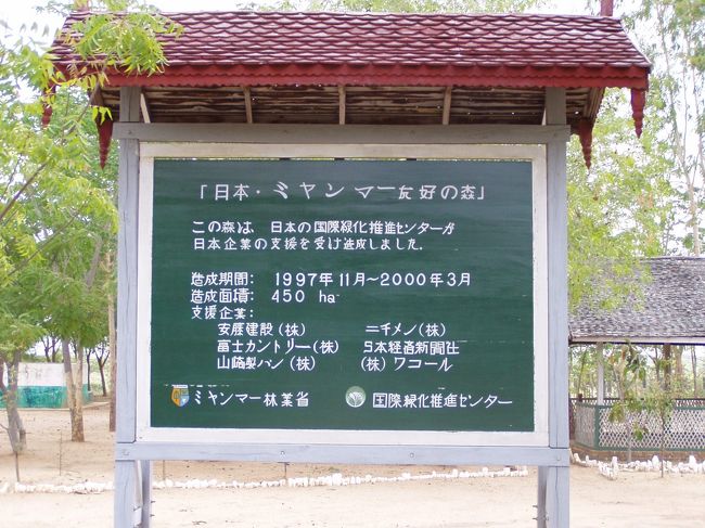 　日本の企業が協力し合って、バガン周辺で植林事業を展開している。韓国の企業も同じことをやっていた。バガン周辺を緑の大地に変えようという壮大な計画だ。ただ、遺跡周辺は小さな仏塔群も良く見えるように、木々を伐採したということを聞いたことがある。