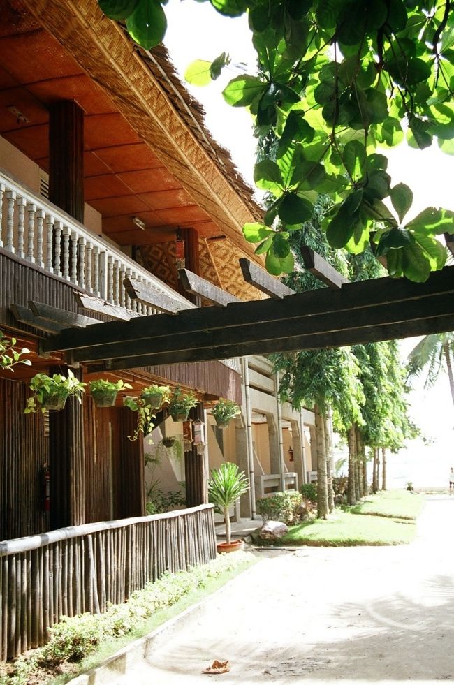 エコノミークラスのホテル<br />「アネモネビーチリゾート」です。