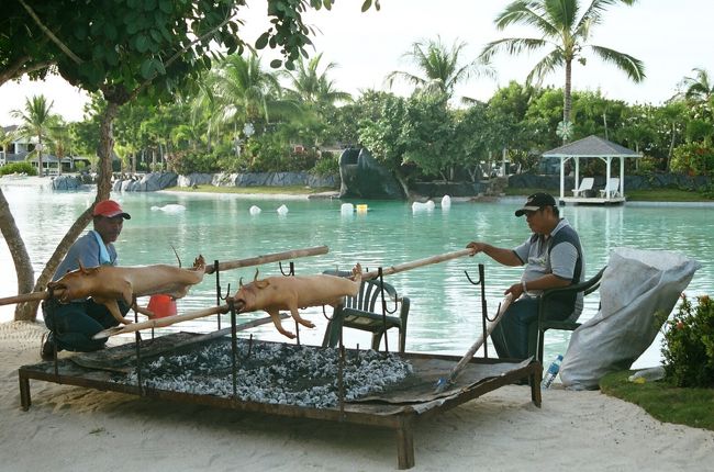 ラグーンの近くでフィリピンの名物料理<br />「レチョン（豚の丸焼き）」の料理中でした。