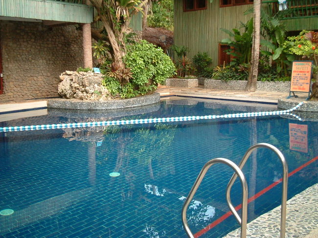 敷地の奥にあるプール。