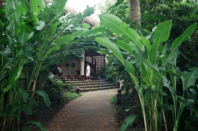 リゾート内は緑がたくさんです。