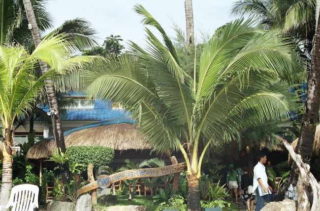 パールオブザパシフィックの近くにある<br />「ワリンワリン」です。