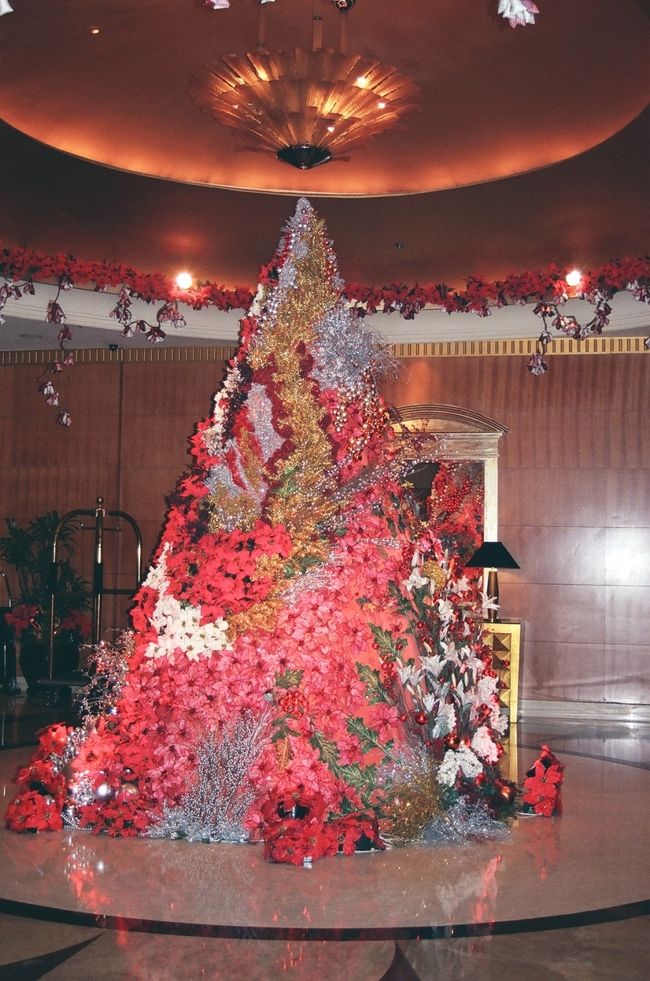 こちらもクリスマスシーズンということで、<br />ロビーには大きなクリスマスツリーが！