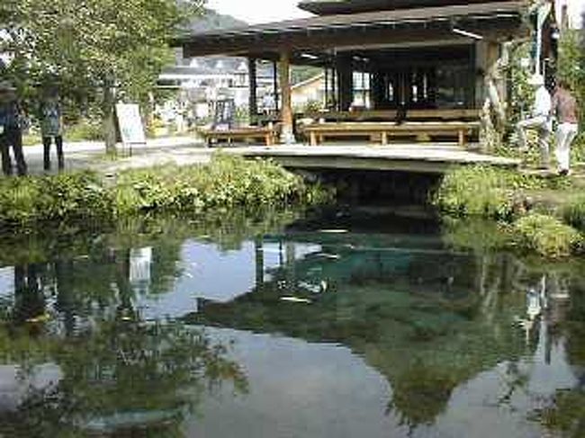 ここで一服。次に忍野八海に向かいました。<br />忍野八海は昔はそばを食べに行ったりしたけど<br />ここんとこ数年は行ってないので無料駐車場がどこにあるのか分からない。<br />しょうがないので”売店のお客様は無料”の駐車場に止めました。