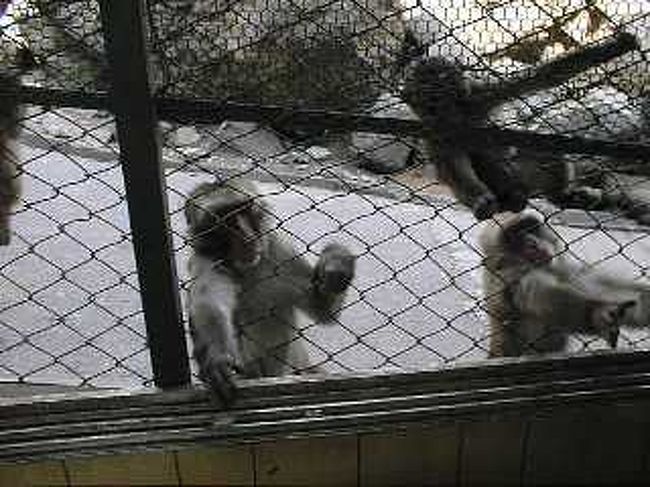 寄こせ、ゴルァ！！