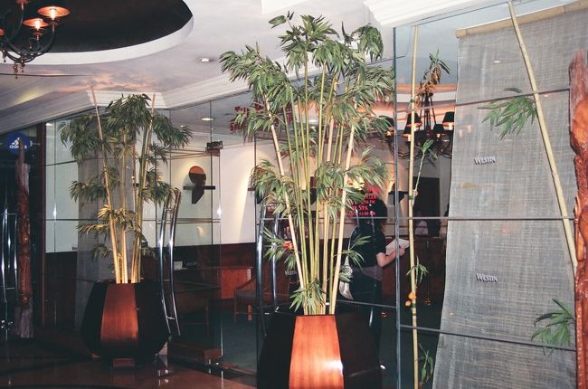 ホテル内のスパ