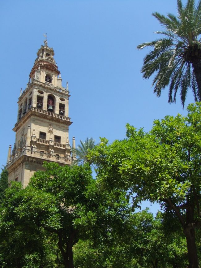オレンジのパティオ（中庭）から鐘楼を見上げました。