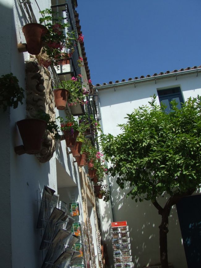 小道脇の壁には色鮮やかなお花が飾られています。