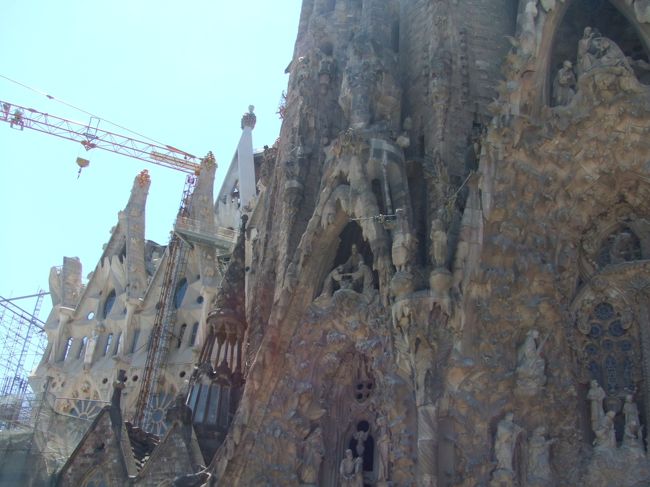 作業は急ピッチで進んでいます。