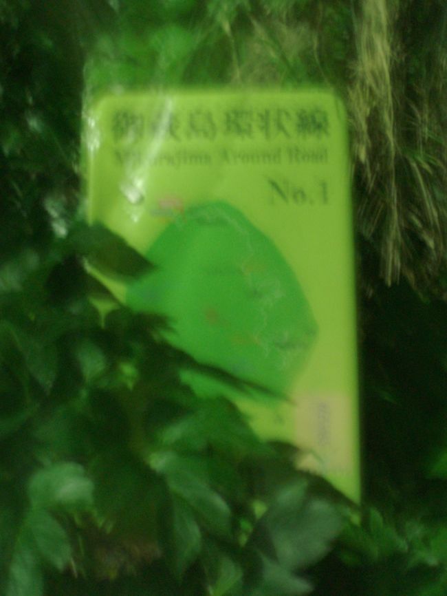 その夜、宿周辺をぶらつく。明かりも少ない静寂の中で道を歩くと、鳥の羽音だけが耳に入ってくる。暗闇の中で羽音だけが聞こえる不思議な感じ。ちなみに、これは島内環状道路の看板。車だったら１時間かからんだろうな。