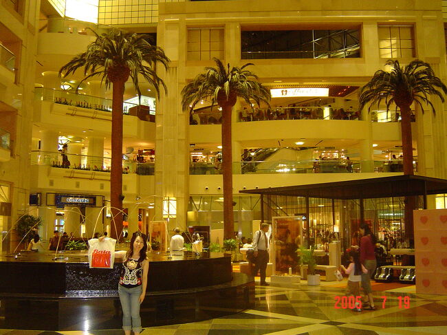 以前訪星した折りにお気に入りとなったＢａｔａと言う靴屋でサンダルを買い、ラッフルズ・シティ（ＭＲＴシティ・ホール駅と直結のショッピングセンター。スイソテル・ザ・スタンフォードとラッフルズ・ザ・プラザのホテルとも直結でなんとも便利。）までやってきました。<br />ここの３階にあるフード・ジャンクションで夕食を取る為です。