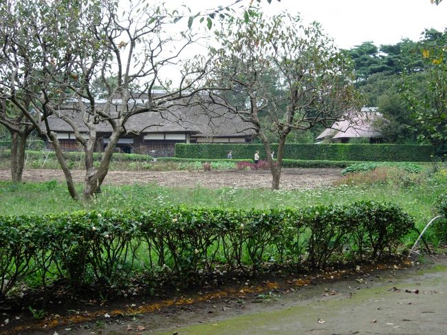 町を出るとのどかな田舎の風景