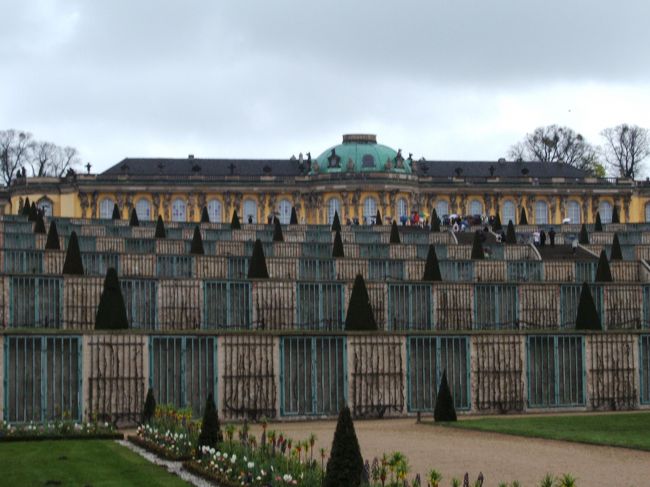 階段を下りて、庭園から見上げるサンスーシ宮殿。最も絵になる風景ですね。ただ大きいだけが宮殿の魅力ではない、ということを充分に感じさせてくれます。