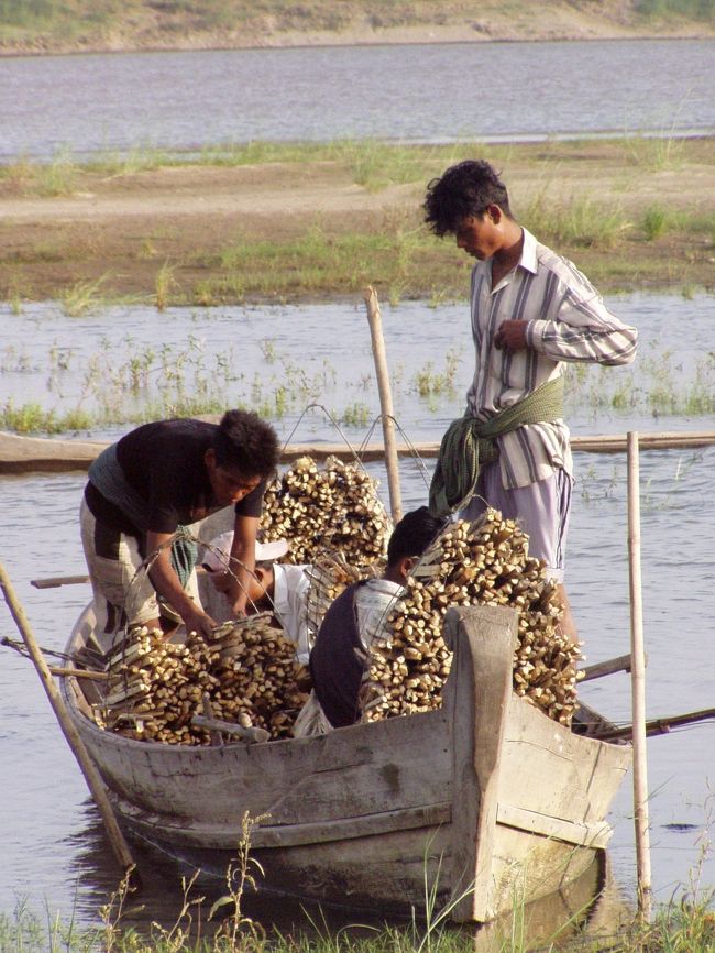 　乾季がまだ終わっていない今、水位は低く、水の流れているところまで行くためには、干上がって砂丘のようになった部分を数百メートルは歩かねばならない。これが結構疲れた。<br />　河まで行くと、小さな船のに男たちが材木を乗せている。炭にでもするんだろうか。