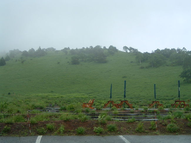 雨は止みましたが、山全体に霧が立ち込めてしまいました。<br />車を降りて半袖で歩いていましたが、震えが止まりませんでした。