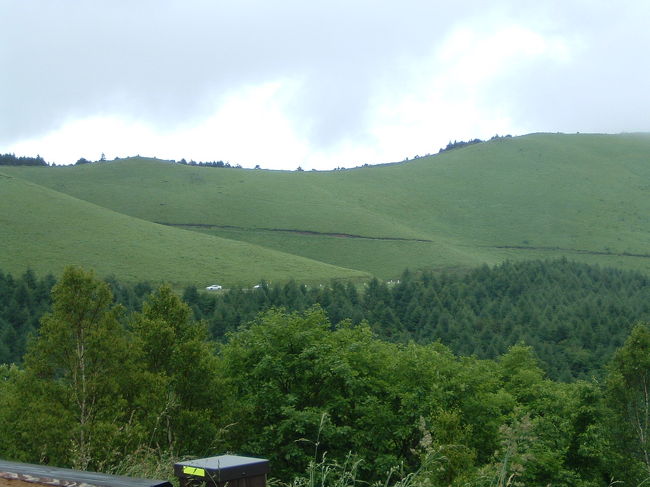 白樺湖に下山する頃には運転も慣れ･･･。<br />ビーナスラインを運転していると、左側はこのように緑の風景が広がり、右側は少し下から綺麗に木々が立ち並んでいるのが大変印象的でした。<br />今度は天気の良い時に再チャレンジしてみたいと感じました。