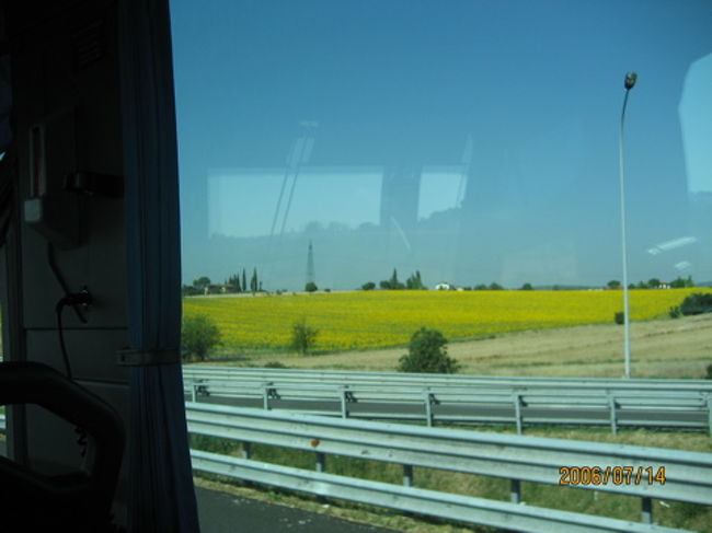 フィレンツェローマ間のバスからの景色。ひまわり畑がきれいでした。