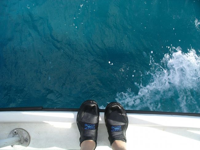 ボートダイブへ