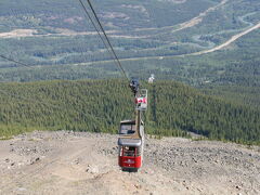 ウィスラーズ山へ　The Whistlers Mountain

10:00　30人乗りのゴンドラに乗ってウィスラーズ山へ。チケットを買うのに10人ほど並んだがすぐに乗ることが出きた。