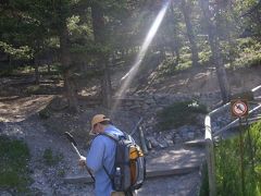 トンネル山へハイキング　Tunnel Mountain

街のすぐ近くにある標高1670mの小さな山、トンネル山へハイキング。往復で4.6km、標高差240mと誰でも気軽に行けるコースで小さな子供を連れた家族連れも多かった。早速新しいポールを使ってみたがこれはいい！