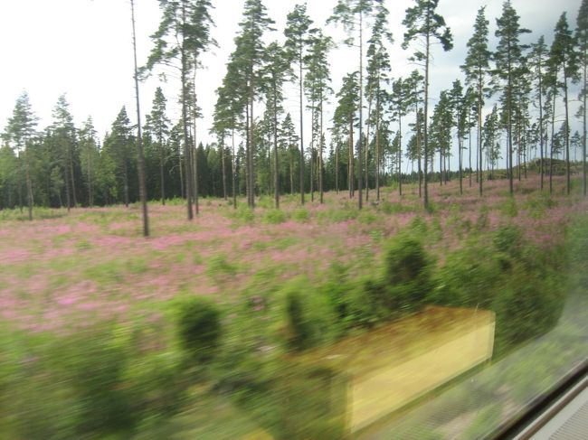 やがてアナウンスでノルウェーとスウェーデンの国境を越えたとあった。特に変化なし・・・。何か劇的な変化を期待したけど、車窓は森林が続くばかり。ちょっとがっかり＾＾；<br /><br />林業が重要な産業になっているというのもよく分かる。