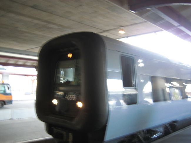ホームに着くとほぼ同時に電車がやってきました！乗客がぞろぞろと降りてきます。この電車はこの駅が終点で、折り返し、デンマークへと向かいます。
