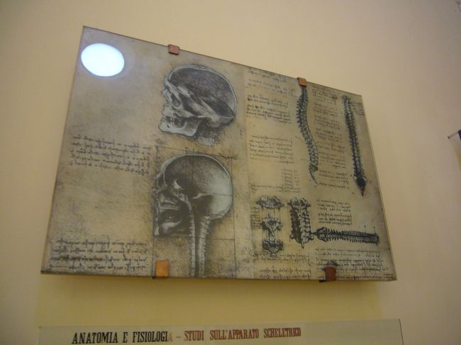 このような人体解剖図がありました。<br />どこかで見た記憶ありませんか？