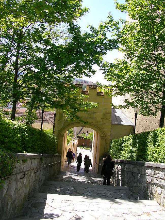 Day?-1<br /><br />世界遺産ヴァッハウ渓谷へ<br />ヴァッハウに行くには電車でまずメルクまで行かなければならなかった<br />電車の中では現地の修学旅行団体と遭遇しかなり騒々しかったがやっとの事メルク到着<br /><br />メルクって可愛いらしい街<br />ぶらぶらと修道院まで歩く<br />修道院も何かのんびりした雰囲気<br />黄色い外観が印象的<br /><br />