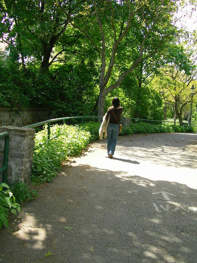 Day?<br /><br />この日は午前中王宮を見学した後、ベートーヴェンの森へ<br />ベートーヴェンの小道って歩いていると楽しい<br />この森ではゆっくりと時間が流れている<br />こんなところにのんびり住めたらいいなと思った<br /><br />