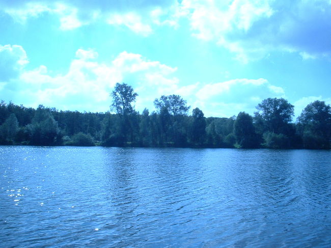 大学のキャンパスには湖