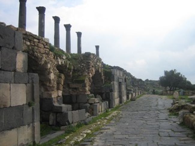 シッカリ残るスーク後・・<br />周りには黄色い雑草の花が咲いていた。自生のアネモネやシクラメン（日本のミニシクラメン）が其処此処に咲いている。