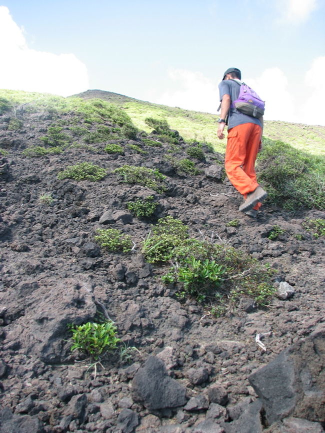 ã‚ング オブ 何もãªã„å³¶ トカラ列島ï¼' è«è¨ªä¹‹ç€¬å³¶ トカラ列島 鹿å…島県 ã®æ—…行記 ブãƒã‚° By ã‚らゆã•ã‚