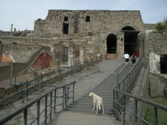 火山灰に包まれた古代都市 ポンペイ遺跡 ポンペイ イタリア の旅行記 ブログ By Ai Worldtravelさん フォートラベル