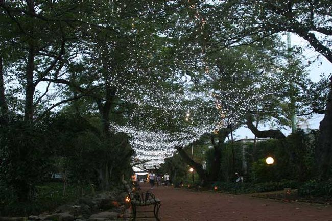 １８時３０分イルミネーションが点灯しました。<br />日没が１８時４５分前後ですからまだ周囲は明るかったので、何となくまだ場違いでした。(笑)