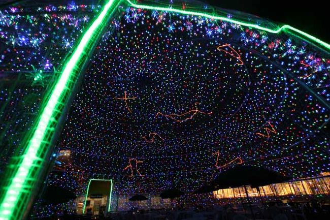 入り口から内部を撮りました。<br />ドーム内の星の数１万だそうです。