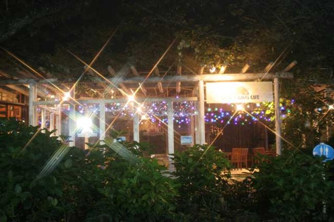 メインの天の川を作っている桜の並木は昭和１２年に植えられたそうです。その波木沿いのレストランの建物も中までイルミネーションが飾られています。