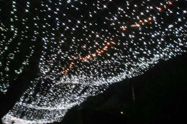 天の川のアップです。