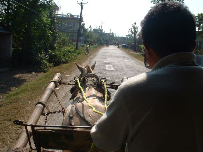 ローカルバスでチトワンへ<br />バスを降りてソウラハ村へは馬車で行きます