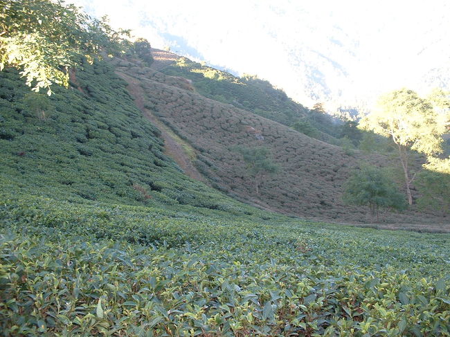 イラム2<br />とても静かなところです