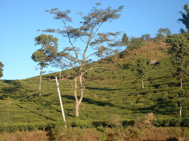 イラム3<br />のんびりと過ごせるところです