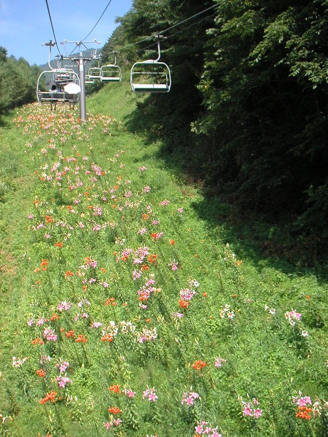 リフト降車口手前で商業カメラマンさんが頑張ってます。レストラン「オクタ」の入り口付近で写真を販売していました。一枚￥1000って、そりゃちょっと高すぎだろっ(^^)b　いつも思うんですが、どうせ印刷しちゃっているのだから、もうちょっと安くして薄利多売型に何故しないのかということ。買わなかった写真って、全部ゴミになるんじゃないのかな？？？