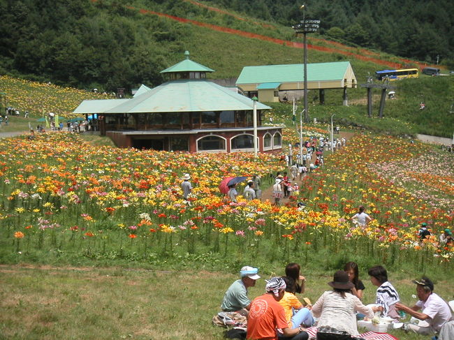 ヤナギラン群生地にむかう階段の途中から撮影しました。<br /><br />正面に見えるのがレストラン「オクタ」、その奥がリフトの降車口です。<br /><br />ピクニック風にお弁当を食べる人達や、オカリナの合奏をする人達もいて、皆思い思いに楽しんでいるようです。