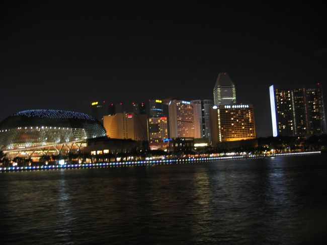 マーライオンのあたりから見える夜景です。