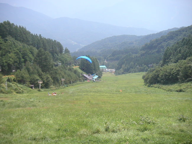 パラグライダーを楽しんでいる人たちもいました。気持ち良さそうですね。ゆり畑のある斜面の下部です。<br />