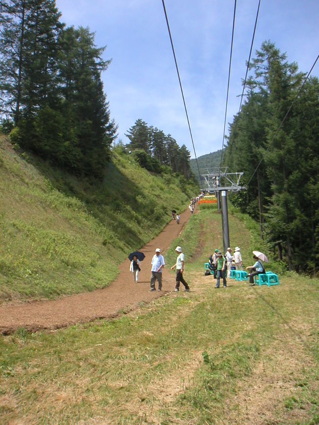 遊歩道を下から撮影しました。<br />この斜面は結構きつかったです。<br />画面中央少し右上のリフト左脇奥のカラフルなところが遊歩道脇のユリ畑の最後尾になります。