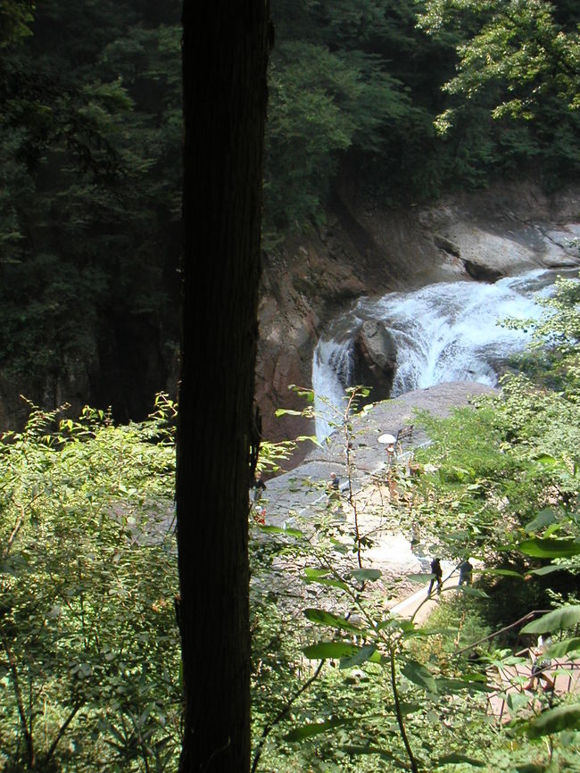 お土産屋さんの脇から鱒飛の滝が見えました。<br /><br />少し行くとお蕎麦屋さんの入り口があります。このお店がある事、すっかり忘れてました。ここでお昼食べれば良かったな。残念。<br /><br />お蕎麦屋さんの入り口前を「く」の字に曲がっていくと吹割の滝入り口です。