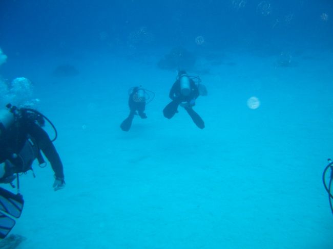 ダイビング２日目の１、２本目はオブジャンビーチです。海のなかも白い砂地が一面にひろがり、確かにいやし系です。写真よりもっと明るくて透明度もそこそこ高く両手を左右に大きく広げてゆっくり進むと空を飛んでるみたいです。水が見えないのだっ！