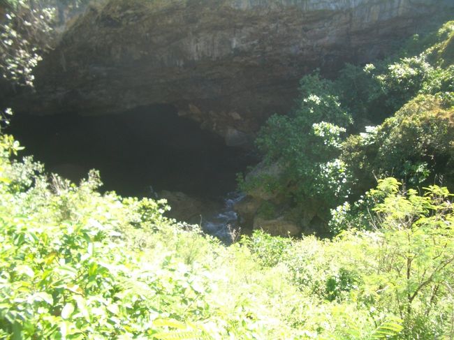 サイパンに来た一番の理由はこのグロットに潜りたかったからです。グロットはぽっかり開いた穴の底が大きなドーム池になっていて、水中で外洋につながっています。外洋からは隔離されているのであまり天候の影響はないけれど、満月（大潮）の時は、水位が上がって入りにくくなるとのことでした。２日目の午後にやっとエントリーできました。