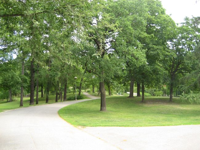 次はトゥルク美術館へ！<br />広大な公園の中にあり、回り道しながらも到着！<br />しかしクローズだった；；<br />なんと新住所にリニューアルしたとのこと！<br />せっかく歩いてきたのに〜。